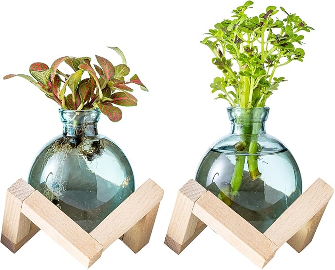 Plant Propagation Station, Plant Terrarium with Wooden Stand for Hydroponic Plant Propagation, Propagation Vases for Plants, Green Glass Bulb Vases for Home Office Decor (2)