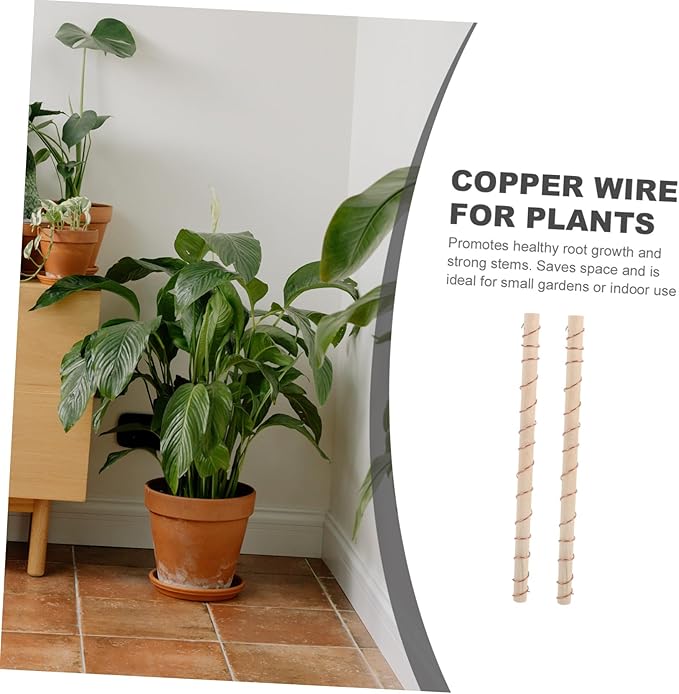 BESPORTBLE 10pcs Copper Wire Electroculture Antennas for Gardening Copper Gardening Support for Plants for and Vegetables