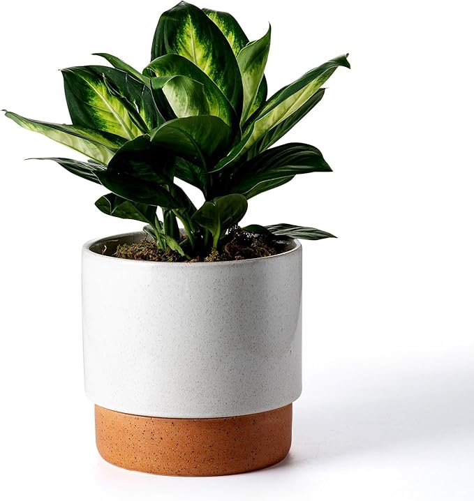 Self Watering Ceramic Planter: 8 Inch Plant Pot with Drainage Hole & Water Storage Plus for Outdoor & Indoor Plants, Succulents, Herbs - Flower Pot for Home or Office Decor - Retro Grey