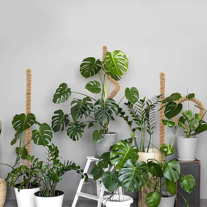 Deergo 30 Inch Moss Pole, 2 Pack Bendable Coconut Fiber Plant Support for Small Creeper Plants Climbing