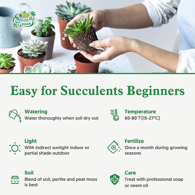 Sprout N Green Echeveria Succulent Collection, 3 Live Succulent Plant Fully Rooted in 2inch Starter Pot, Home Office Indoor Outdoor Wedding Decoration DIY Projects Party Favor