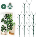 10 Pack Stackable Plant Support Stakes, 75inch Climbing Plant Sticks Structures for Monstera with Garden Ties, Durable Alternative to Moss Pole for Indoor Outdoor Plants