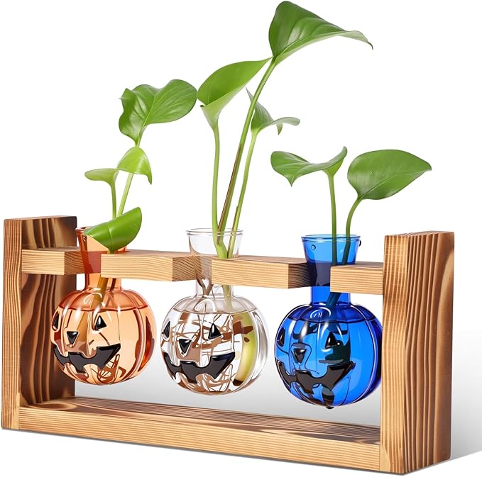 Mimorou Plant Propagation Stations Plant Terrarium with Wooden Stand Hydroponics Glass Vase Planter for Home Office Garden Table Decoration(Pumpkin)