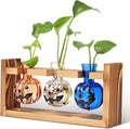 Mimorou Plant Propagation Stations Plant Terrarium with Wooden Stand Hydroponics Glass Vase Planter for Home Office Garden Table Decoration(Pumpkin)
