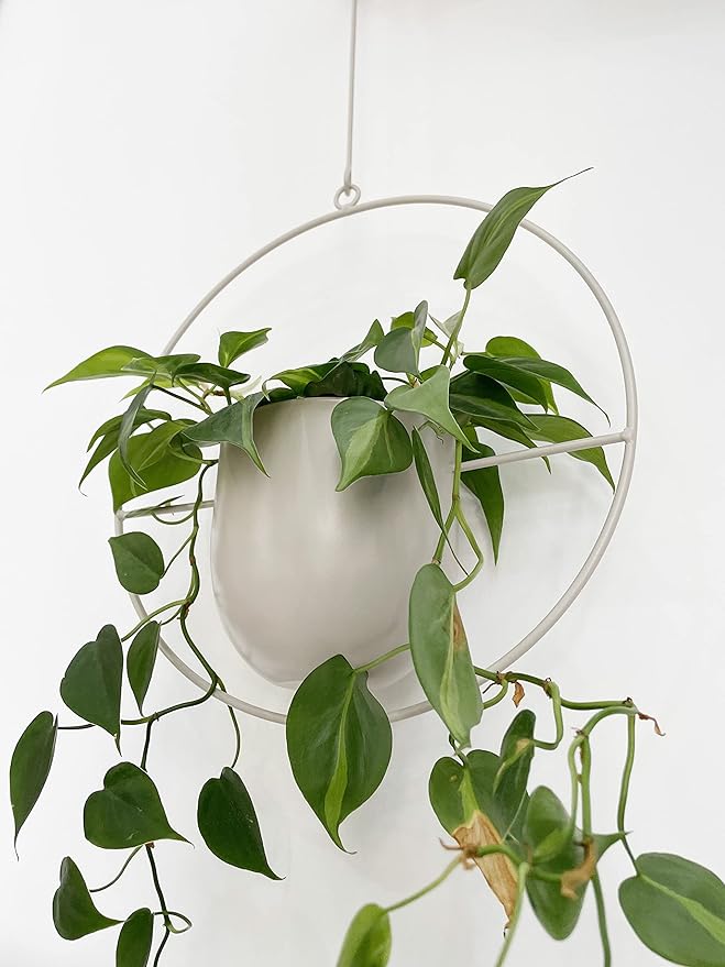 RISEON Boho White Metal Plant Hanger,Metal Wall and Ceiling Hanging Planter, Modern Planter, Mid Century Flower Pot Plant Holder, Minimalist Planter for Indoor Outdoor Home Decor…