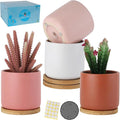 TAMAYKIM 4 Inch Ceramic Plant Pots with Drainage Holes & Tray, Adorable Small Cylinder Planter for Indoor Decor, Succulent, Snake Plants, Cactus & Herbs, Flowers, Set of 4 for Home Office Garden
