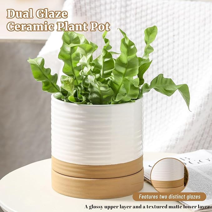 HASENSE 6 Inch Indoor Plant Pot, Ceramic Flower Planter with Drainage Hole and Saucer, Modern Pots for Plant with Two-Tone Design, Perfect for Wedding Birthday Gift, White-Brown