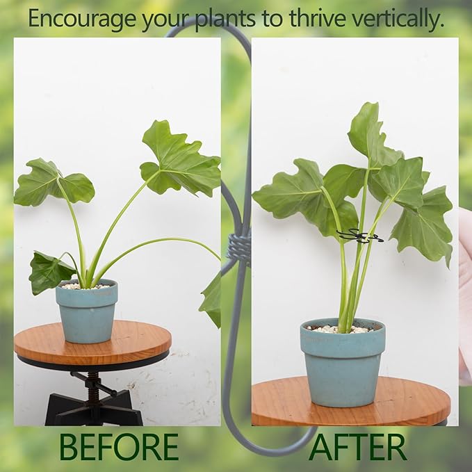 Yohsnor Monstera Plant Stem Support Set - 2.75x2.75 inches 5 Durable Fishbone Design Stabilizers for Indoor Climbing Plants - Perfect Leaf Holders & Gifts for Plant Lovers