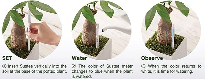 Sustee Aquameter, White, Medium, Set of 2 - Soil Moisture Meter for Potted Plants - Plant Water Sensor (Refillable Style)