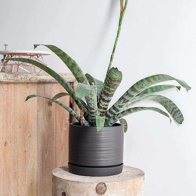 HERDUK 8 Inch Pots for Plants, Ceramic Planter Pot with Drainage Hole & Saucer, Indoor/Outdoor Cylinder Round Planter Pot, Matte Black