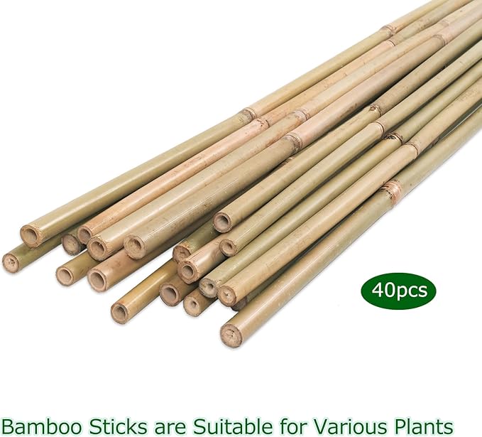 Cambaverd 40pcs Natural Bamboo Sticks for Indoor and Outdoor Plants, 16 Inch Plant Support Stakes for Tomato, Beans, Potted Plants and Vegetable