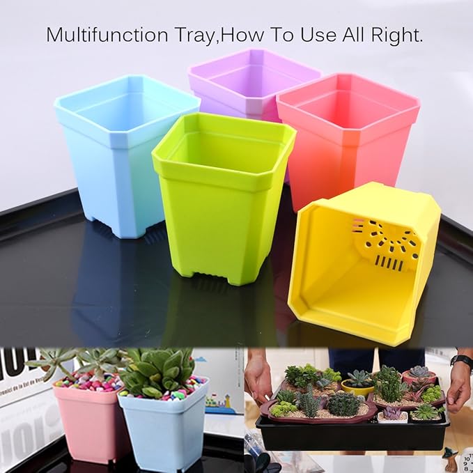 eZAKKA Seedling Starter Trays, 15x12 inches Seed Plant Grow Starting Germination Kit Greenhouse Humidity Domed Propagator Trays with 20 Pieces Square Seed Starter Pots for Seedling, Flower, Garden