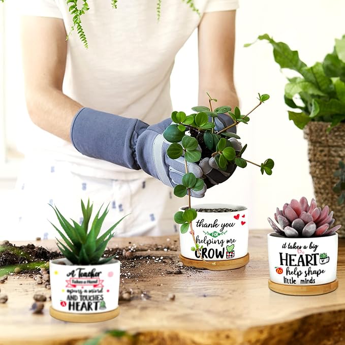 Potchen 6 Pcs Teacher Appreciation Gifts Funny Succulent Pots with Bamboo Tray End of Year Teacher Gifts Graduation Thank You Planter Accessories for Women, Coworker