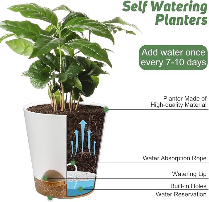YNNICO Indoor Self Watering Planters with Drainage Holes and Saucers, 8, 7, 6.5, 6, 5.5, 5 Inches, White, 6 Pots