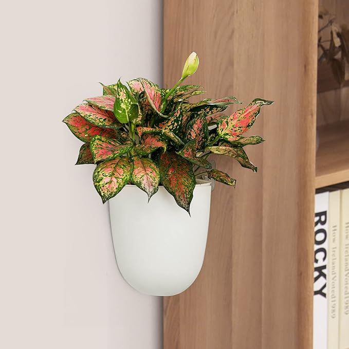 2 Pack Corner Wall Mounted Hanging Planter Self Watering Triangle Plastic Flower Pot Decorative Modern Plant Vase Container Holder for Succulent Indoor Outdoor Home Office Décor White