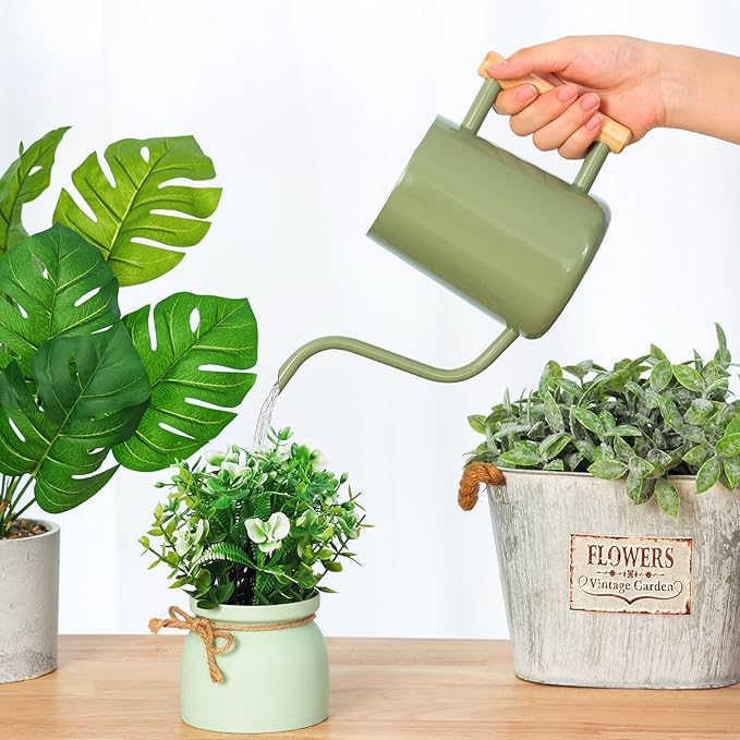 Metal Watering Can for Indoor Plants, 35oz Sage Green Cute Stainless Steel Pot with Long Spout for Indoor House Plants Bonsai Outdoor Garden Flower Decorative