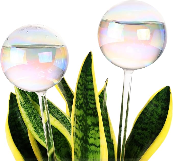 Soilagua 13 oz Up 2 Weeks Extra Large Plant Watering Globes, Iridescent Rainbow Glass Water Bulbs, Self Watering Planter Insert, Vacation Plant Watering Devices System, Automatic Plant Waterer, 2 Pack
