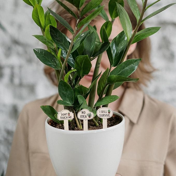 Lurrose 15PCS Wooden Garden Plant Markers Funny Printed Words Reusable Succulent and Vegetable Labels Indoor Outdoor Plant Tags Home Garden