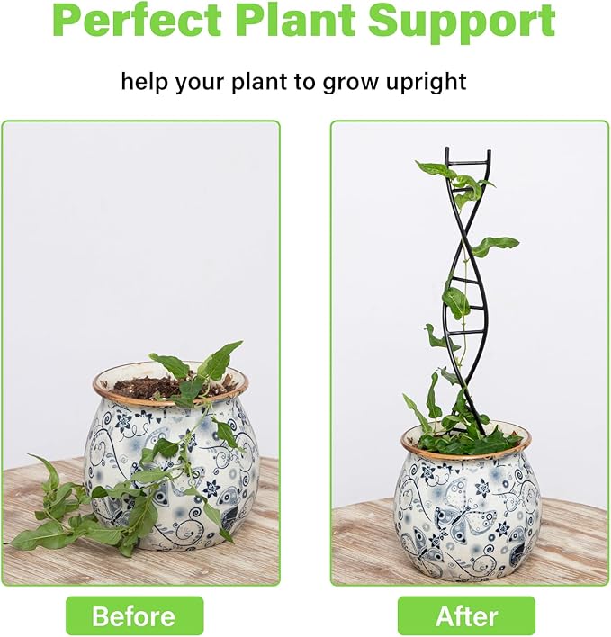 Yohsnor 3 Pcs Indoor Plant Trellis Set - Black Metal DNA Design for Potted Plants, Small Houseplants & Climbing Support - Modern Home Decor & Vertical Garden Display - Perfect for Indoor & Outdoor Use