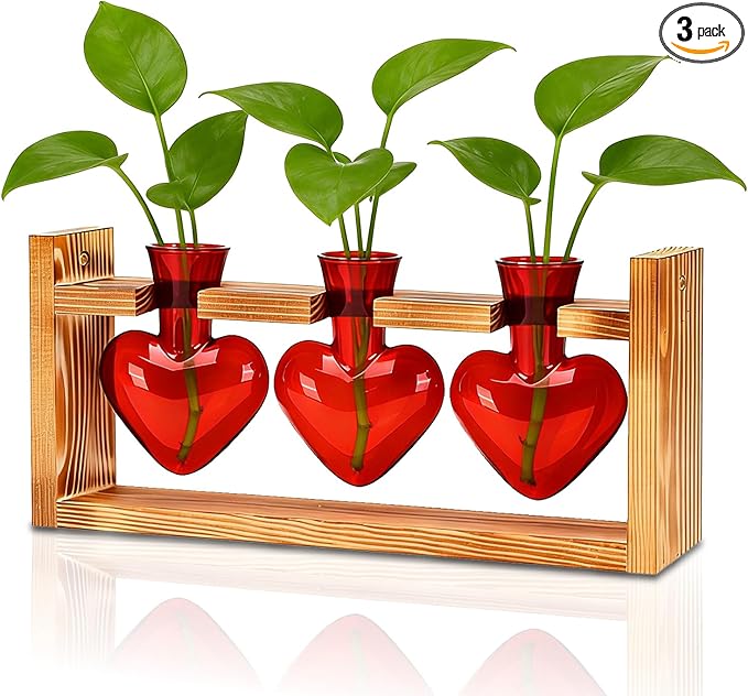 Nacome Plant Terrarium Propagation Stations: Mothers Day Gifts for Mom Plant Lovers Women Wife Daughter - 3 Bulb Glass Vase with Wooden Stand Tabletop for Hydroponics Garden Home Wall Decor(Red)