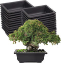 KINJOEK 25 PCS 6.5 Inch Plastic Bonsai Training Pots, Rectangular Plant Bonsai Tree Pot, Starter Flower Succulent Growing Seedling Pot Container Planter for Garden Indoor Home Decorative