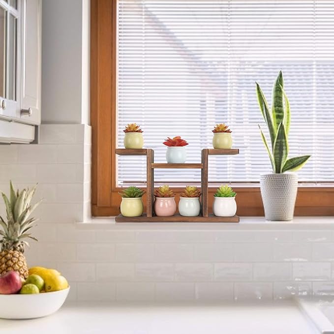Wood Desktop Plant Stand Indoor - Windowsill Plant Shelf Small Tabletop Plant Holder, Flower Display Rack for Succulent Herb in Living Room Office 6 Tiers