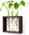 Wooden Propagation Station with 3 Glass Test Tubes, Tabletop Glass Terrarium Holder for Cuttings Hydroponics, Home Office Desk Decor Gift for Women Mom Plant Lovers, Brown