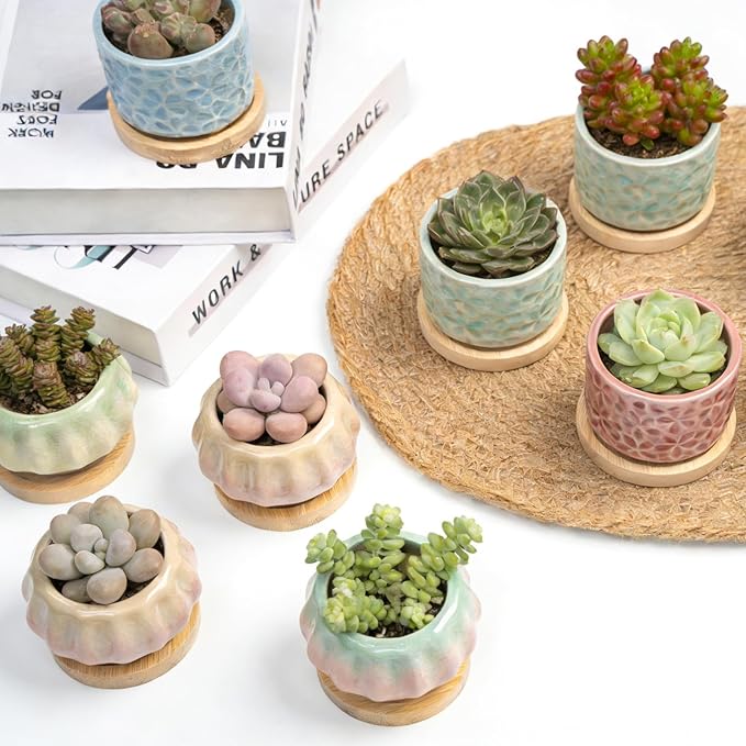 8 Pcs Succulent Pots with Ice Crack Glaze, 2 Shapes & 8 Colors Ceramic Succulent Planters with Drainage Holes & Bamboo Saucers, Indoor Plant Pots for Home Garden，Desk Decor, Office Decor, Gift Idea