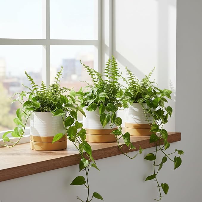 HASENSE 4.6 Inch Plant Pots, Ceramic Flower Pots for Indoor Plants, Small Two-Tone Design Planter with Drainage Hole and Saucer, Cute Windowsill Tabletop Decor, Set of 4, White-Brown
