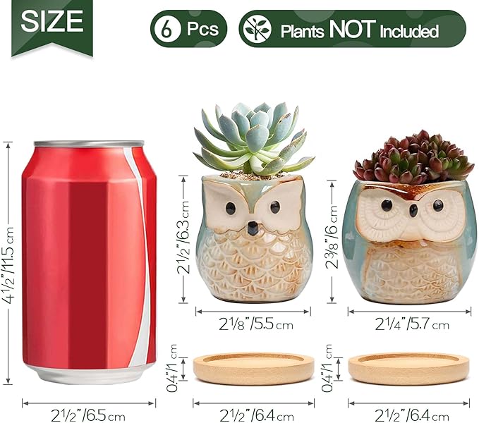 T4U 2.5 Inch Owl Ceramic Succulent Planter Pots with Bamboo Tray Set of 6, Flowing Glaze Porcelain Handicraft Plant Holder Container Gift for Mom Sister Aunt Best for Home Office Garden Decoration