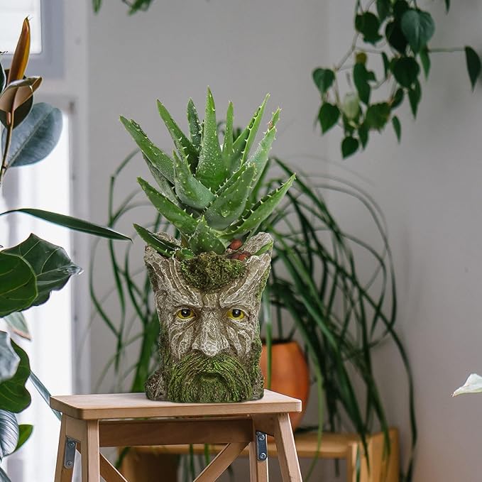 vomiceak Face Planter - Unique Old Man Tree Face Planters for Outdoor Indoor Plants with Drainage Hole, Funny Plant Pots for Succulents - Creative Flower Pots as Gifts for Women and Men (Green Man)