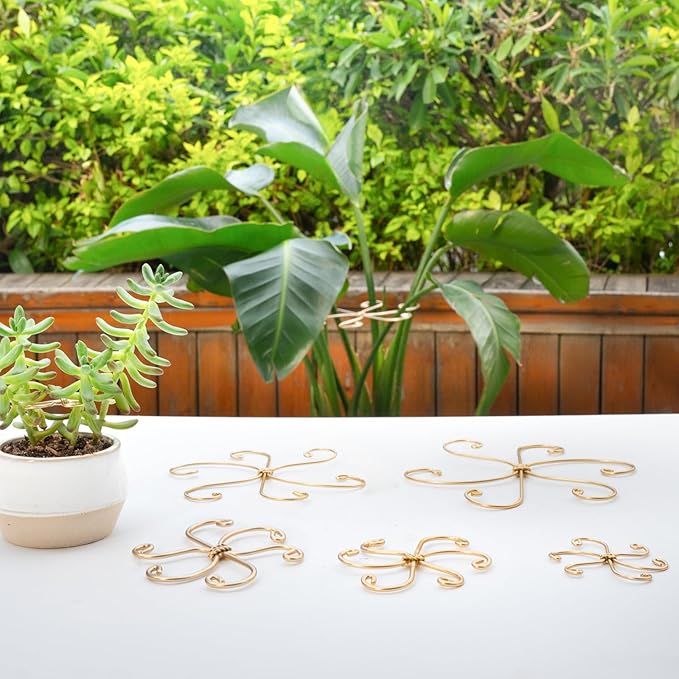 Yohsnor Monstera Plant Stem Support Set - 5 Durable Stabilizers (2.75"x2.75") for Indoor Plants, Leaf Holder & Cactus Stake - Keep Monstera Healthy & Upright - Ideal Gift for Plant Lovers