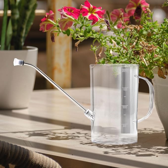 Sleek 2L Indoor Watering Can for Plants, Clear