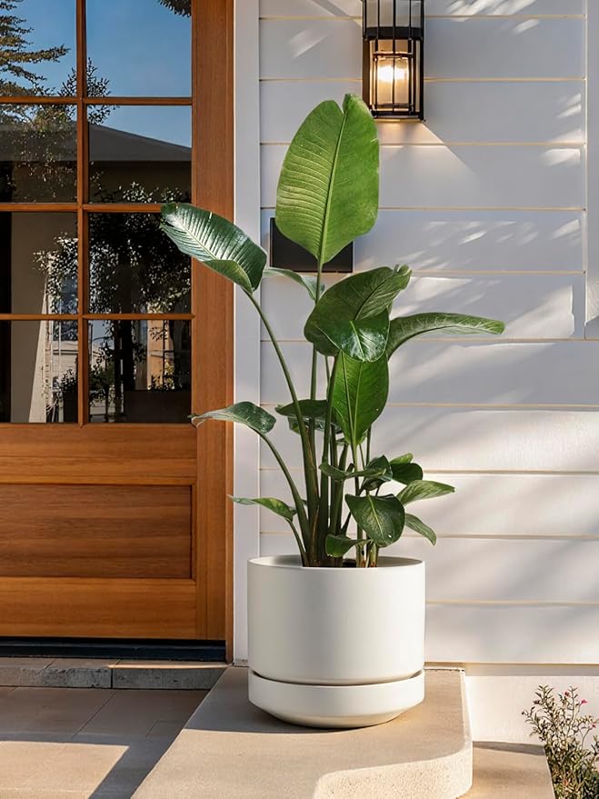 LE TAUCI Large 14 Inch Plant Pot with Saucer | Ceramic Outdoor & Indoor Big Planter Pot | Drainage Hole, Mesh Pad | Unglazed Porous | Modern Minimalist for Home and Patio – Chalk White