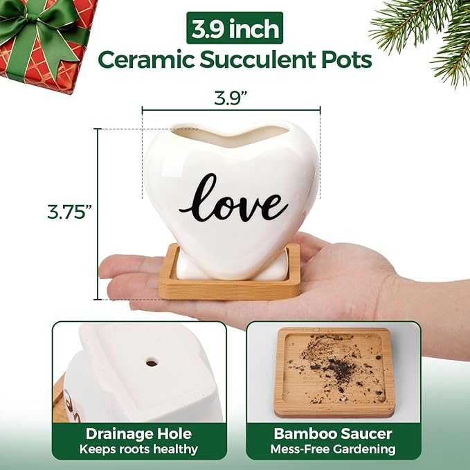 T4U Succulent Pots, 3.9 Inch Succulent Planters with Drainage, Small Cute Plant Pots for Windowsill, Funny Ceramic Plant Pots, Thank You Gift for Teacher, Mom, Friend, for Coworkers