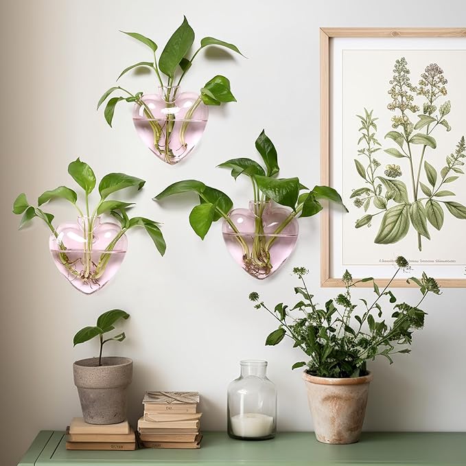 Wall Hanging Planter Propagation Station for Indoor Plants Glass Vase Air Plant Holder Gift for Women Girlfriend Plant Lover