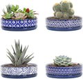 Selamica Ceramic Succulent Pots, Shallow Succulent Planters with Drainage Hole & Saucer, Indoor Plant Pots for Cactus, Home Decor，Vintage Blue,6 inch