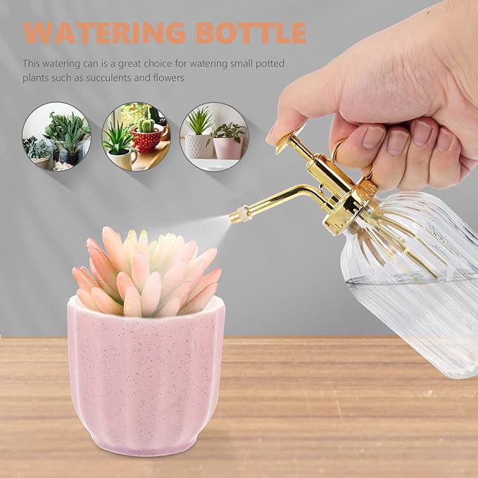 YARDWE Glass Watering Can, Plant Mister Spray Bottle, Vintage Glass Watering Spray Bottle Small Watering Can Indoor for Succulents (Transparent)
