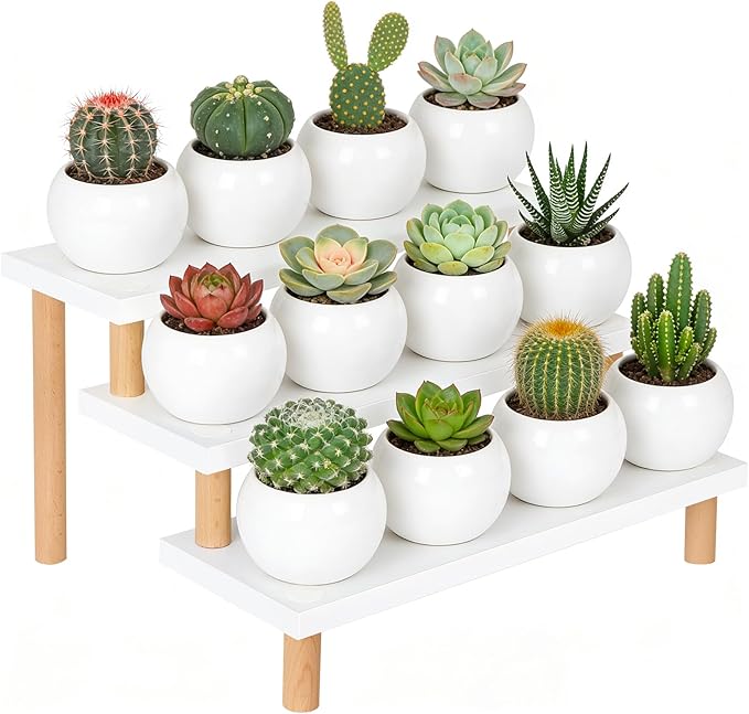 3 Tiered White Small Plant Stand Indoor, Window Sill Plant Shlef for Kitchen,Countertop,Office Desk,Table Top Succulent Stand , 15mm Thick Wooden, Ladder Shelf,Modern,(14.2")