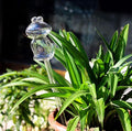 ChezMax Plant Watering Globes Glass Self-Watering Stakes Frog Shaped Water Bulbs Automatic Irrigation Device for Indoor Outdoor Plants 4 Packs