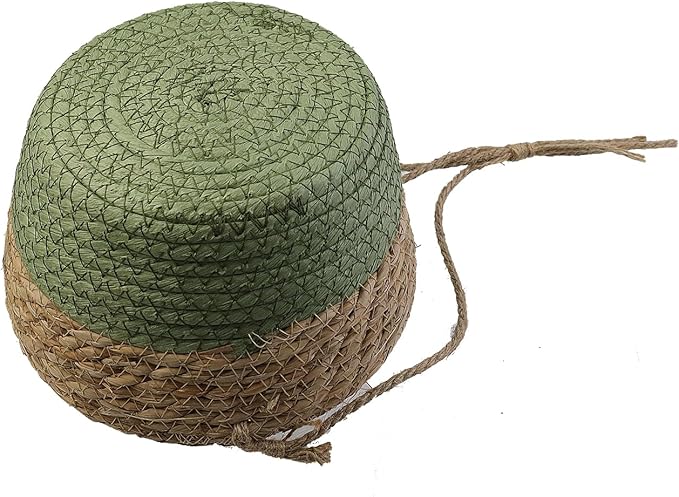 MY MIRONEY 2PCS Hanging Planter Basket Natural Seagrass Woven Plant Pot Hanger Hanging Plant Holder with Twine for Home Decor, Indoor & Outdoor Use, 8.11" x 4.96", Green