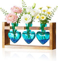 Nacome Plant Terrarium Propagation Stations: Mothers Day Gifts for Mom Plant Lovers Women Wife Daughter - 3 Bulb Glass Vases with Wooden Stand Tabletop for Hydroponics Home Garden Decor