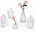 TBWIND Glass Bud Vase Set of 5, Small Clear Flower Vases for Centerpieces in Bulk, Mini Vintage Vase for Wedding Decor, and Home Table Décor