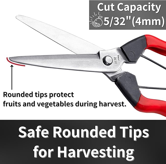Harvesting Scissors Blunt Tips 7.9" for Vegetable, Fruits, Plants - Japanese Garden Shears Pruning Snips - Sharp Japanese Stainless Steel Blade & Non-Slip Spring-Loaded Handle - Made in Japan