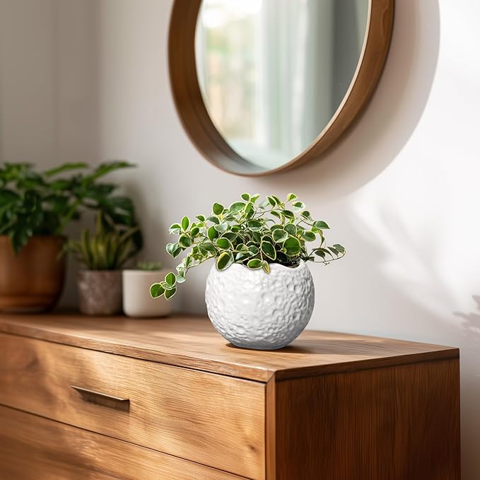 4 Inch Plant Pots - Ceramic Pots for Plants with Drainage Hole, Small Planter for Indoor Outdoor, Unique Succulent Pot, Decorative Modern Round Planter, Desk Decor, Plant Lover Gifts, White