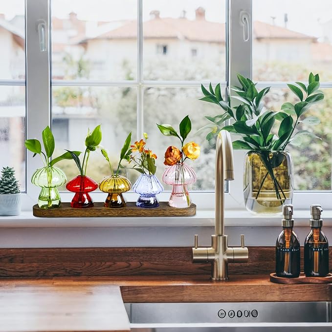 Mushroom Vase, Mushroom Propagation Stations Vases, Colored Glass Vase Set of 5, Hydroponic Glass Container for Plants, Bud Vases for Home Office Decor