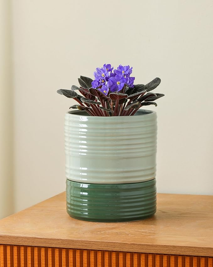 Fayoula Self Watering Pots for Indoor Plants, 6 Inch Ceramic Self Watering Plant Pot, Planter Pot with Wick Rope and Drainage Hole for African Violet Succulent Herbs (Green Light)