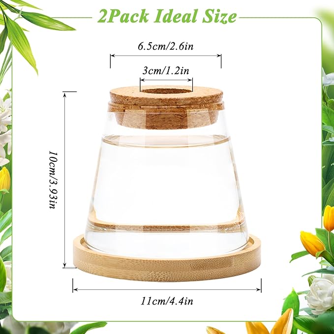 2 Pcs Plants Propagation Station, Separated Desktop Glass Planter Station Hydroponics Plant Terrarium with Wooden Tray & Lid Glass Vase Propagating Jars Gifts for Women Mom Plant Lovers