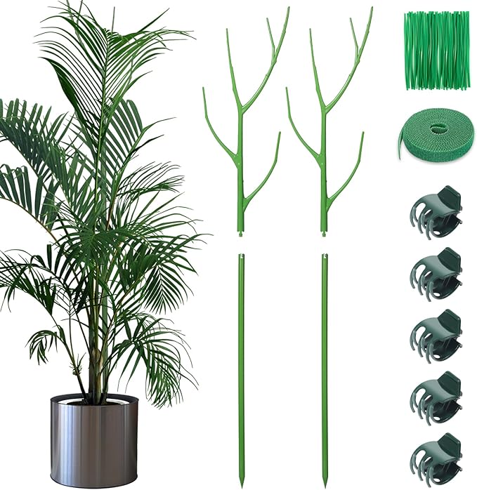 ROADPLUM 2 Pack 27.56" Detachable Twig Plant Support Stakes Set, Blends in to Plant, Branch Plant Sticks with Orchid Clips Twist Plant Ties, Twig Trellis for Indoor Outdoor Plants Potted Plants Flower