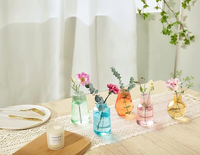 Mkono Propagation Vases for Plants, Set of 5 Small Glass Jar Planters for Hydroponic Cutting Flowers, Plant Station Bud Vases for Centerpieces Home Office Decor Gift, Colorful (Plants not Included)